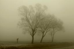 �������Ӱ�ˡ�