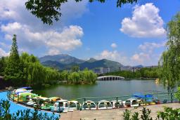 �Ϻ�����