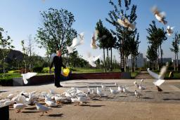 ����г��԰��