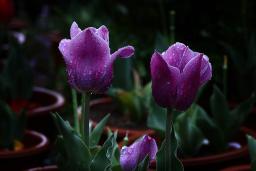 ���а���