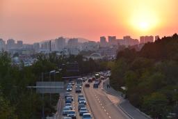 ɽ������