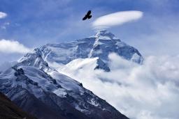 ����ϵİ��˻��