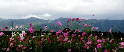 ������̨ɽ