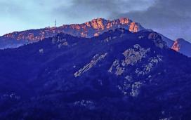 ���Ϧ����