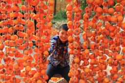  ���� ����