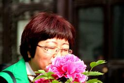 ����������һ