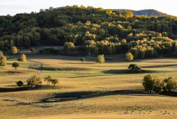 ��ɽ��ˮ��ţ��