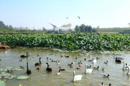  ˫�������