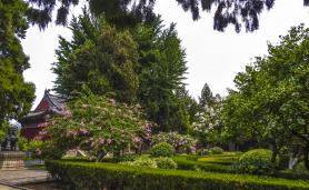 Ⱥ������