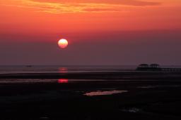 ̫��ÿ�춼���µ�