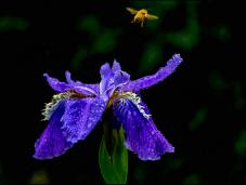 ����β��