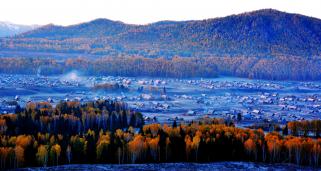 ��ľ���糿