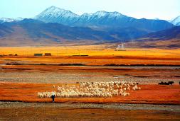 ��ɽ����