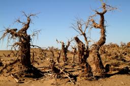 �����ĺ���