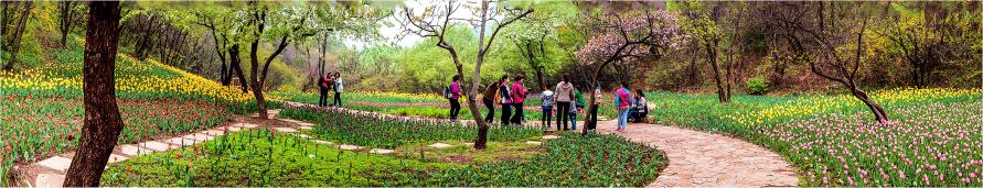 ���ٻ����ޡ�