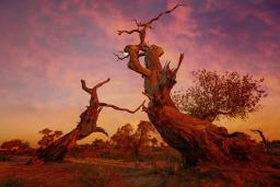 �ϱ�����