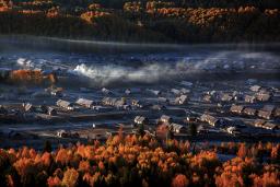 ��ľ����