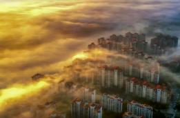 ���ɸ�¥������