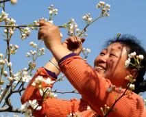 ������ʵ������