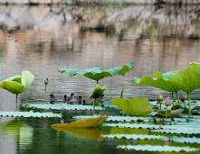 �ɻ������Ҽ�