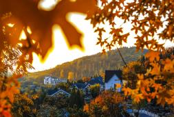 ��ȪС�����