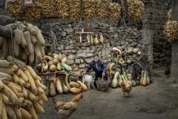 ���Ҹ���԰��