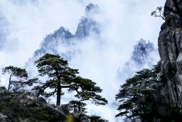 ��ˮī��ɽ��