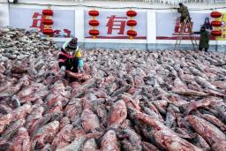 ���������㡷