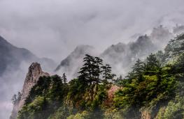 ��ĸ����ţ��Ңɽ