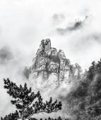 ��ĸ����ţ��Ңɽ