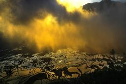 ����Ԫ��