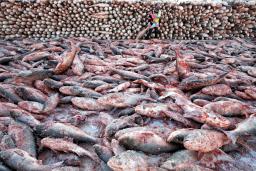 ���������ࡷ