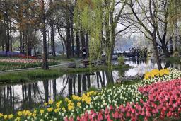 ����̫����