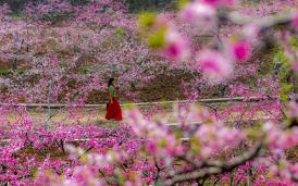 �߽�����