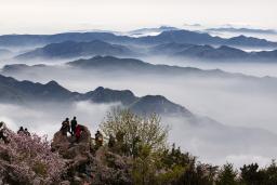 ���ۺ���