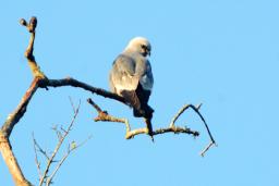 �������Ȼ��