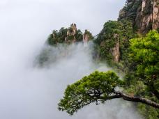 �Ż����ơ���̽��