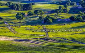 ����ʢ��