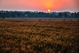 �����ڼ�