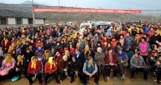 ��ʷ�Ļ�������Ҵ�󼯿�ҵ