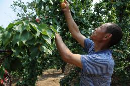 ���ӷ���ʱ��