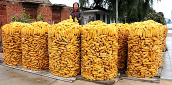 ���׷�������