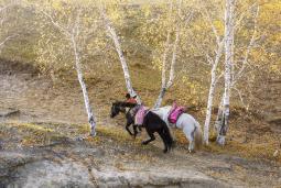 ��ִ���١����С�