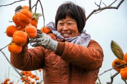 ���ӷ��պ��ϲ��