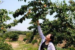 ���յ�ϲ��