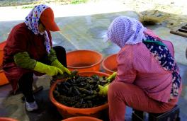 Ұ�����η�����