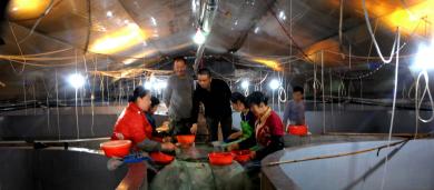 ������ֳ����