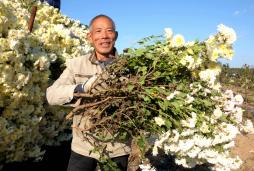 ҩ�շ�������