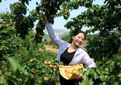 �볢һ��������