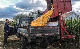 ��е���ո�����